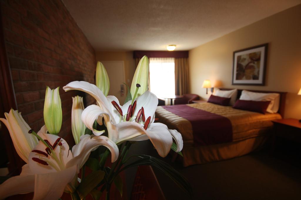 Motel Adam Гатино Номер фото